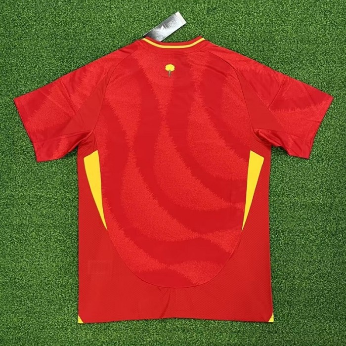 24/25 Spain home football Jersey