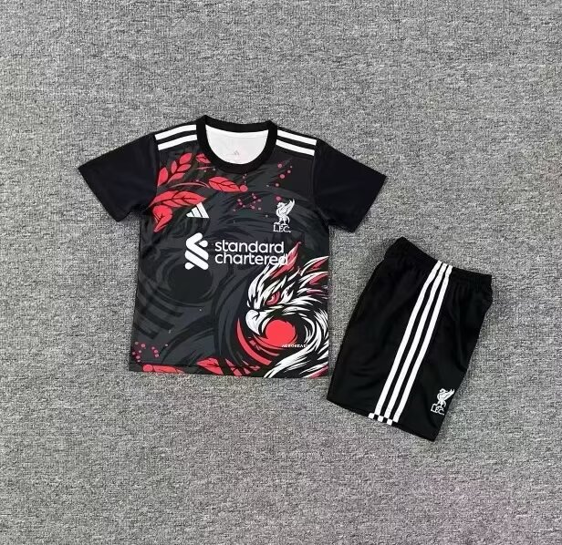 25/26 liverpool Special Edition kids kit