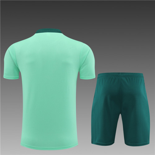 24/25 Tottenham Hotspur Short sleeve Light Green training suit