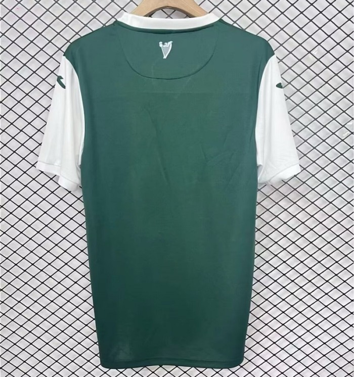 25/26 Hibernian football jersey