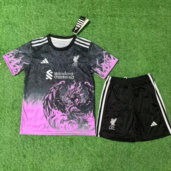 25/26 liverpool Special Edition kids kit