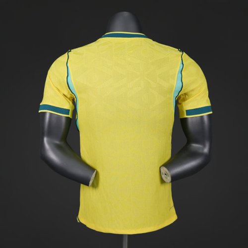26/27 Brazil home player version