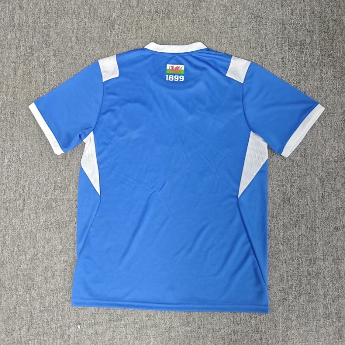 26/27 Cardiff City home football Jersey