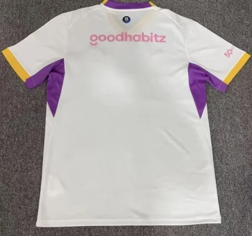 26/27 PSV Eindhoven away football Jersey