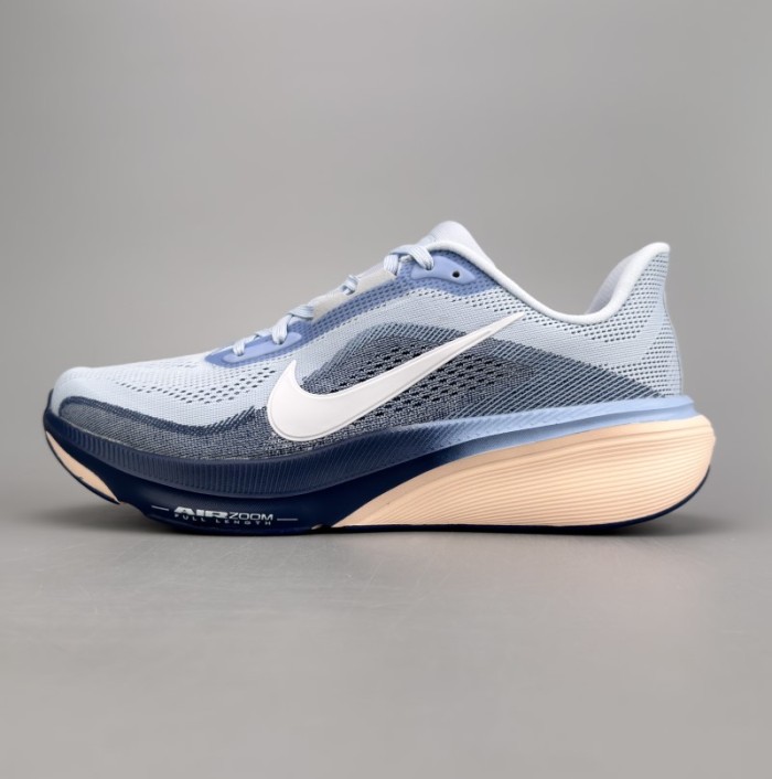 NIKE Pegasus 42
