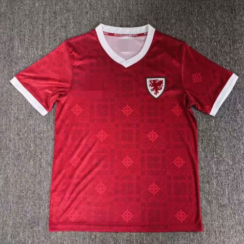 26/28 Wales home football Jersey