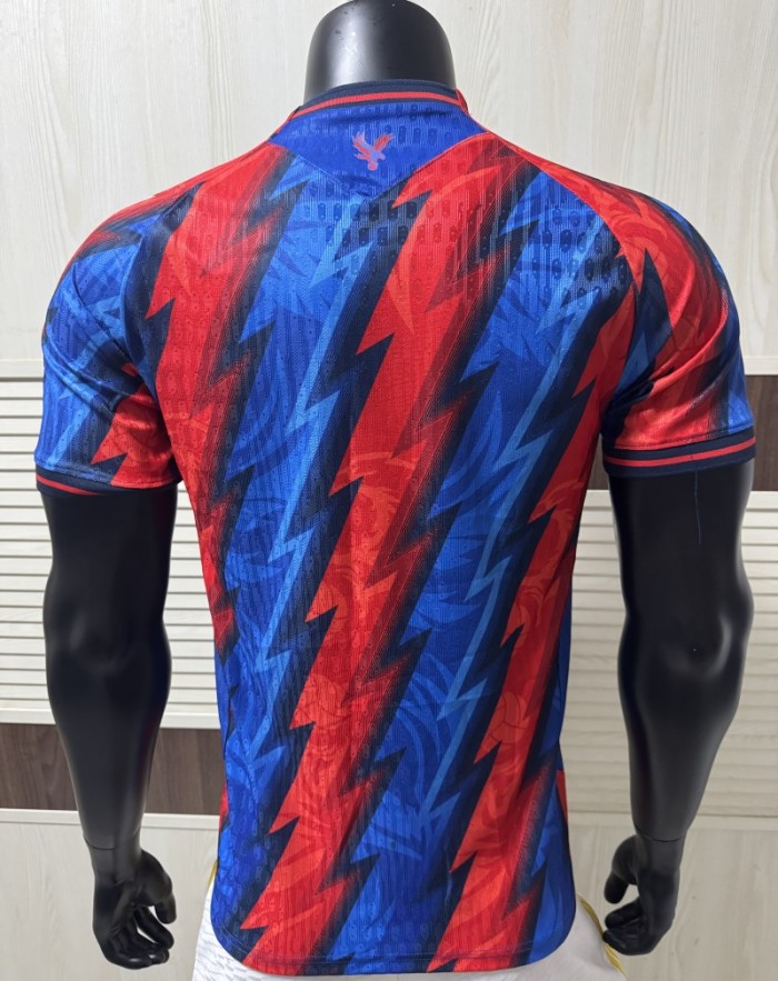 26/27 Crystal palace third Player Version