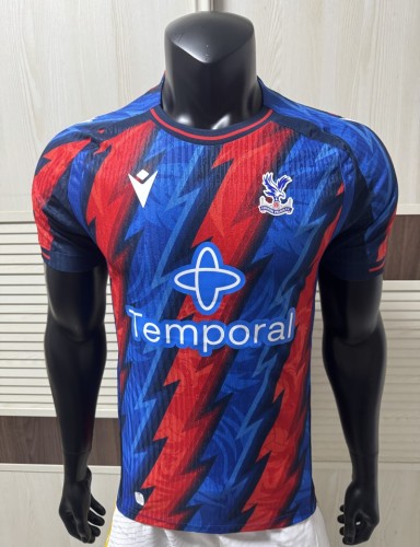 26/27 Crystal palace third Player Version