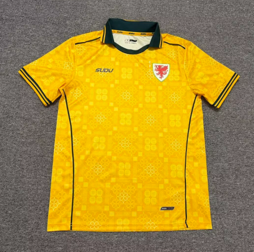 26/28 Wales away football Jersey
