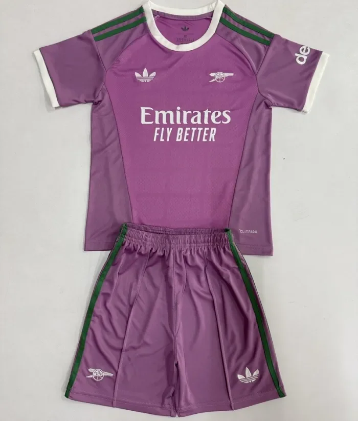 26/27 Arsenal goalkeeper Adult Set Purple