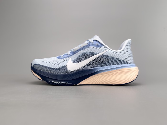 Nike Pegasus