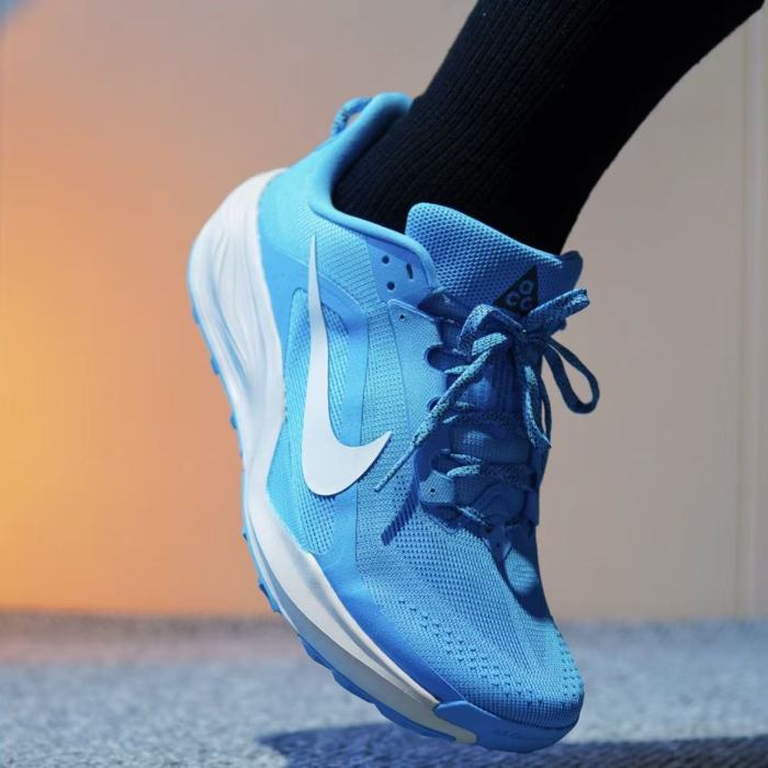 Nike ACG Pegasus Trail Hiking Shoes