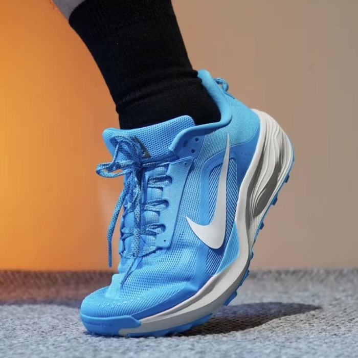 Nike ACG Pegasus Trail Hiking Shoes