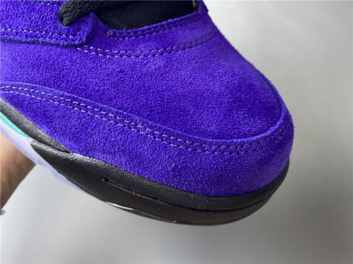Annareps Great quality Air Jordan 5 Alternate Grape 136027-500 Free shipping