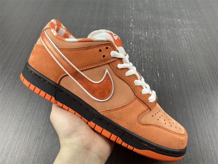 Free shipping from annareps Concepts x Nike SB Dunk Low FD8776-800 Free shipping