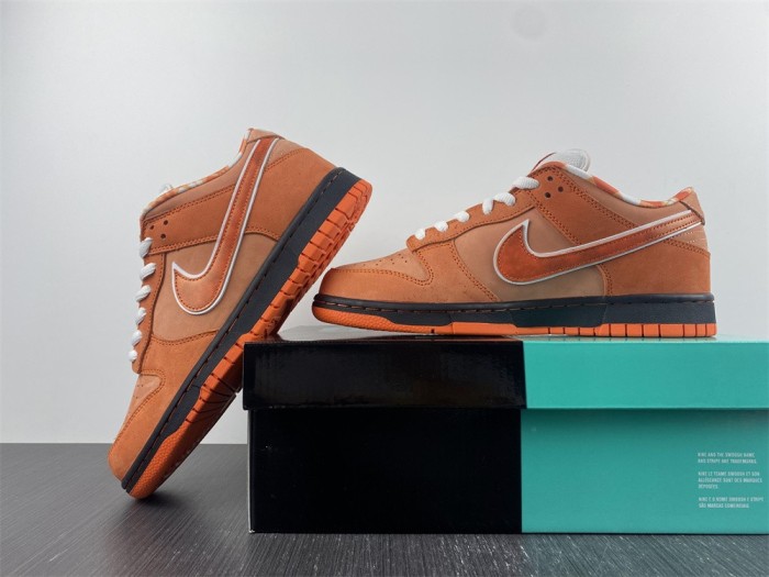 Free shipping from annareps Concepts x Nike SB Dunk Low FD8776-800 Free shipping