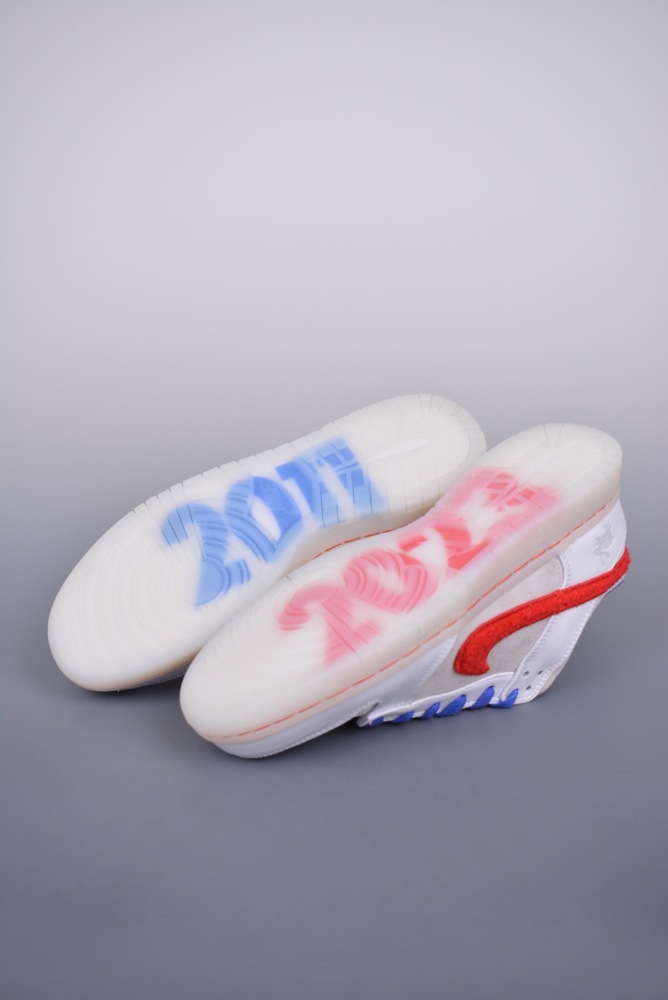 Nike SB Dunk low (annareps ) Free shipping