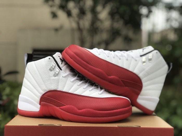 Free shipping Annareps Air Jordan 12