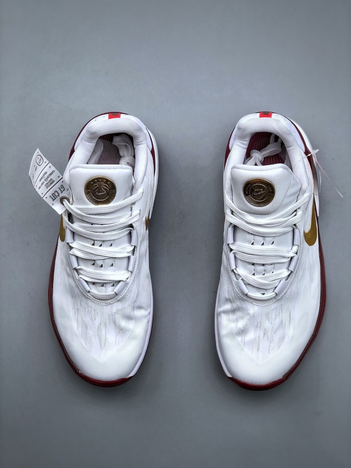 Nike zoom gt cut (Annareps)