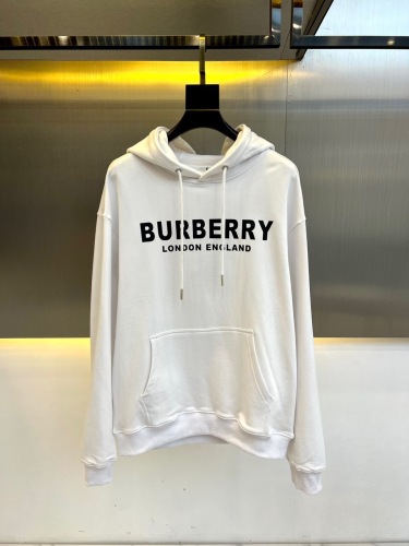 Men Sweater Top Quality （Annareps）