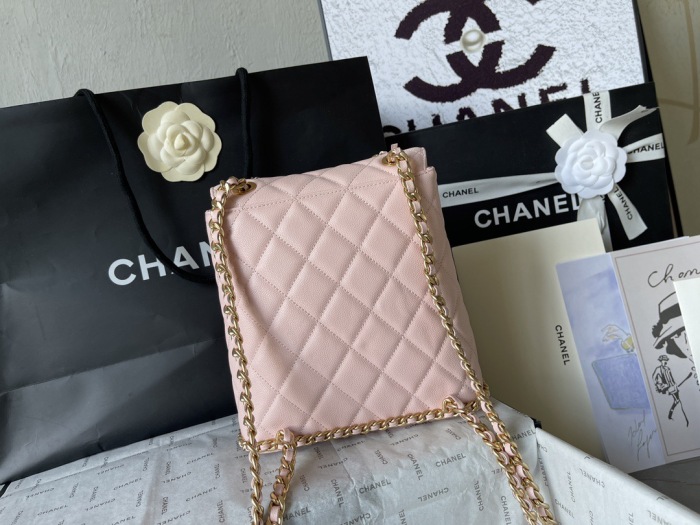 Free shipping annareps C*hanel Bag as4490 Top Quality