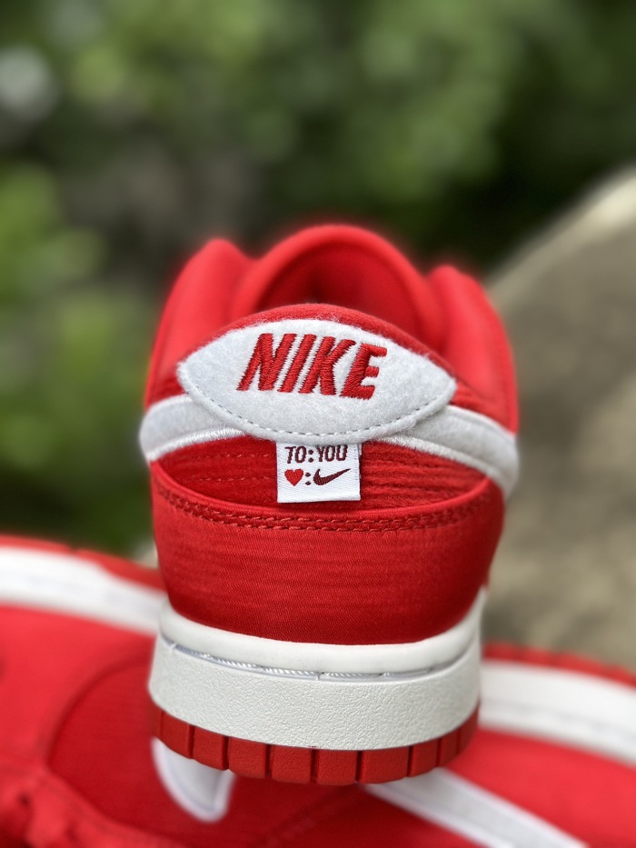 Women Nike SB Dunk Low (annareps)