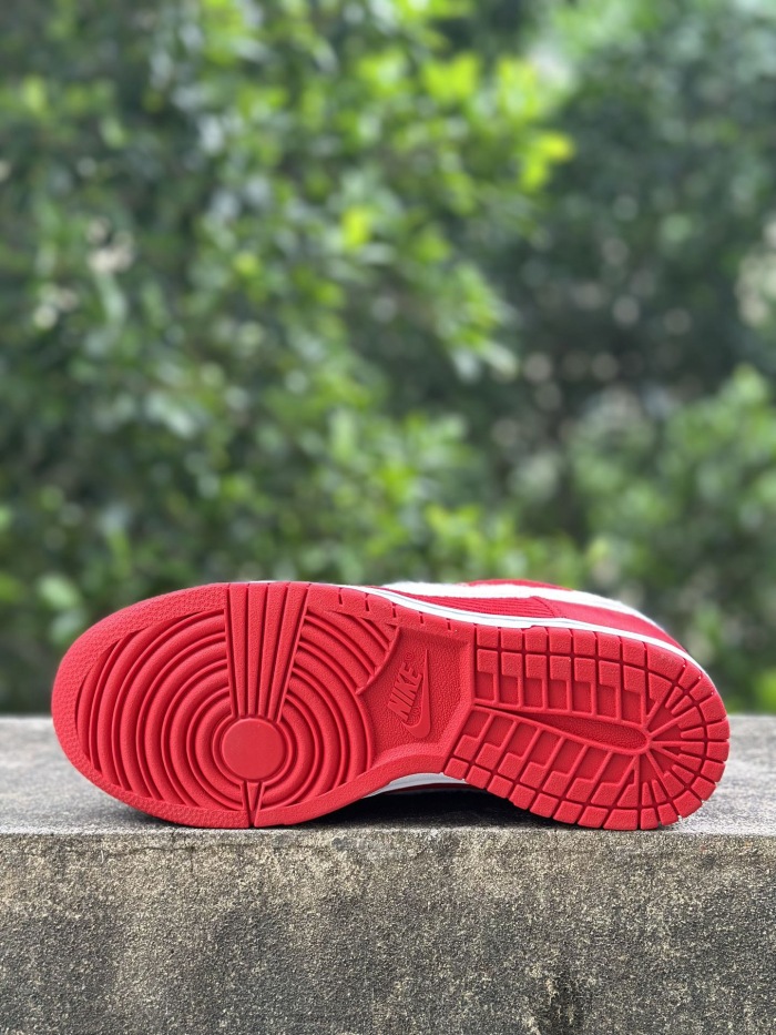 Women Nike SB Dunk Low (annareps)