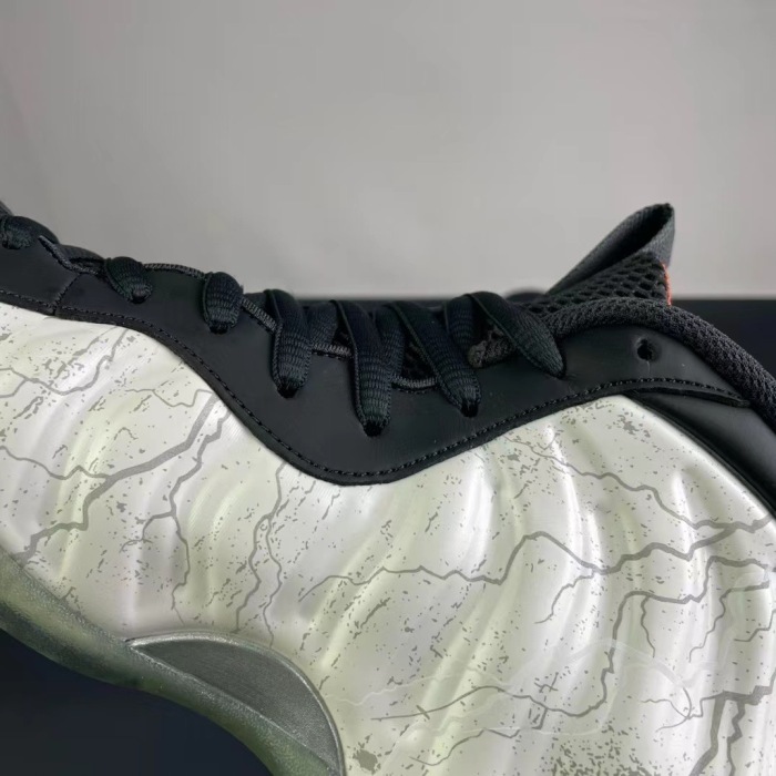 Free shipping from annareps Air Foamposite Pro