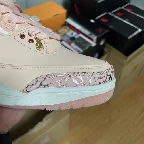 NIKE Air Jordan 3    (annareps)