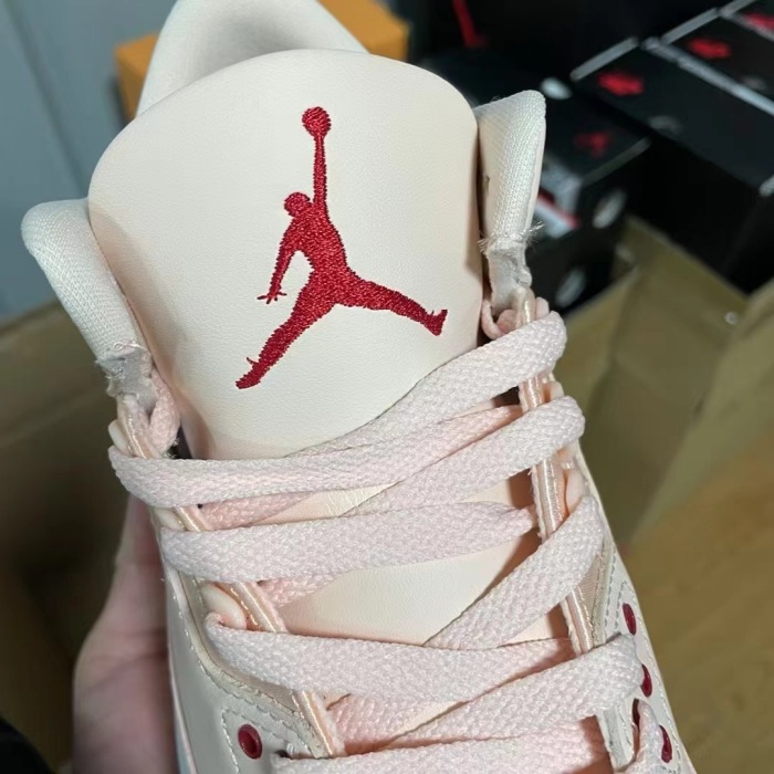 NIKE Air Jordan 3    (annareps)