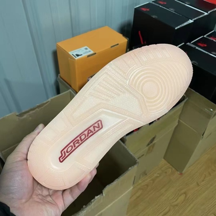 NIKE Air Jordan 3    (annareps)