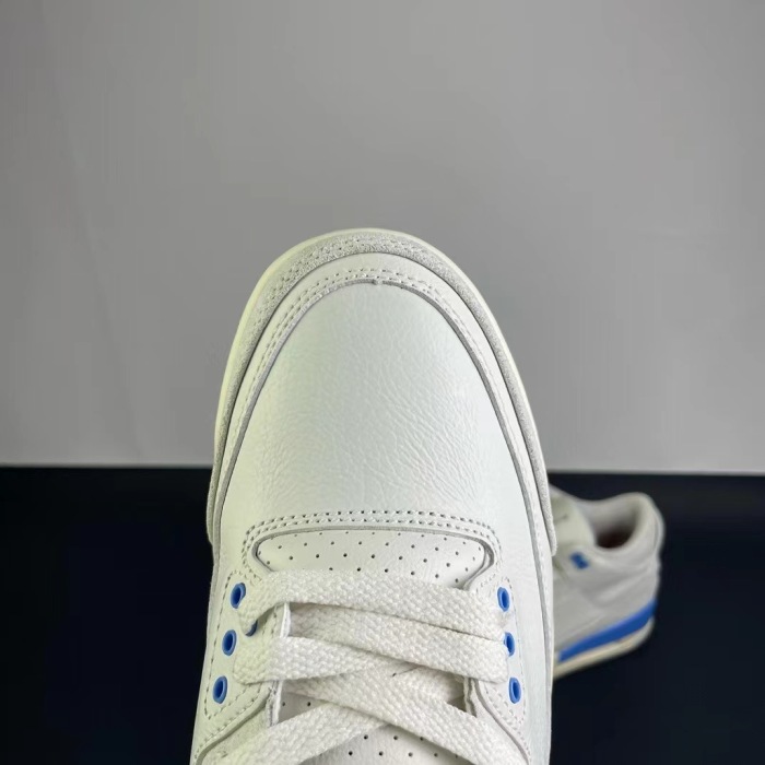NIKE Air Jordan 3    (annareps)