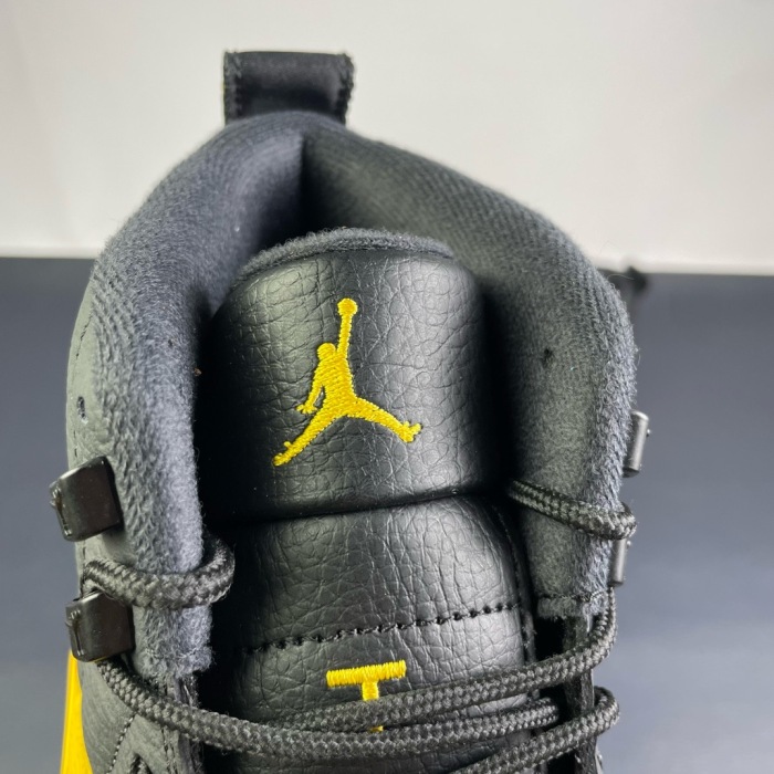 Free shipping annareps Air Jordan 12
