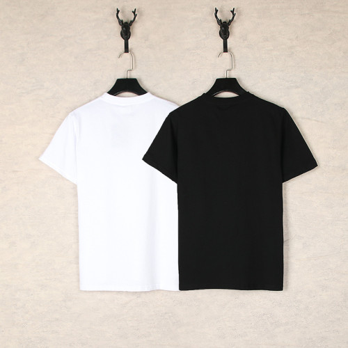 Cherry Blossom Tree Mount Fuji Scene Print tee 2 colors