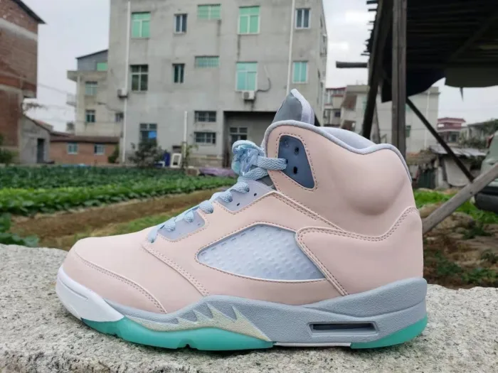 Air Jordan 5 Moonlight