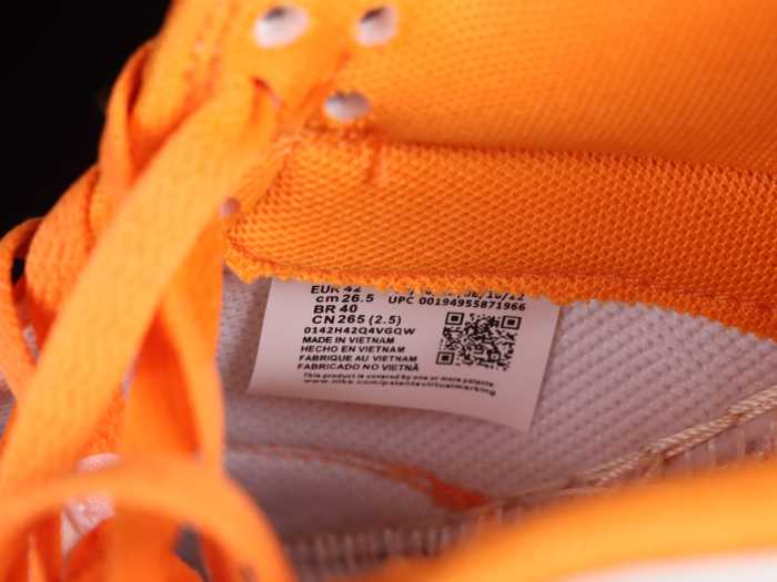 N*ke Dunk Low Florida A M University