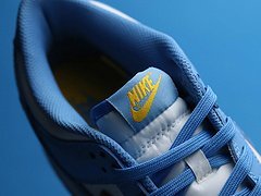 N*ke Dunk Low Coast