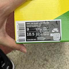 N*ke SB Dunk Low Wasted Youth