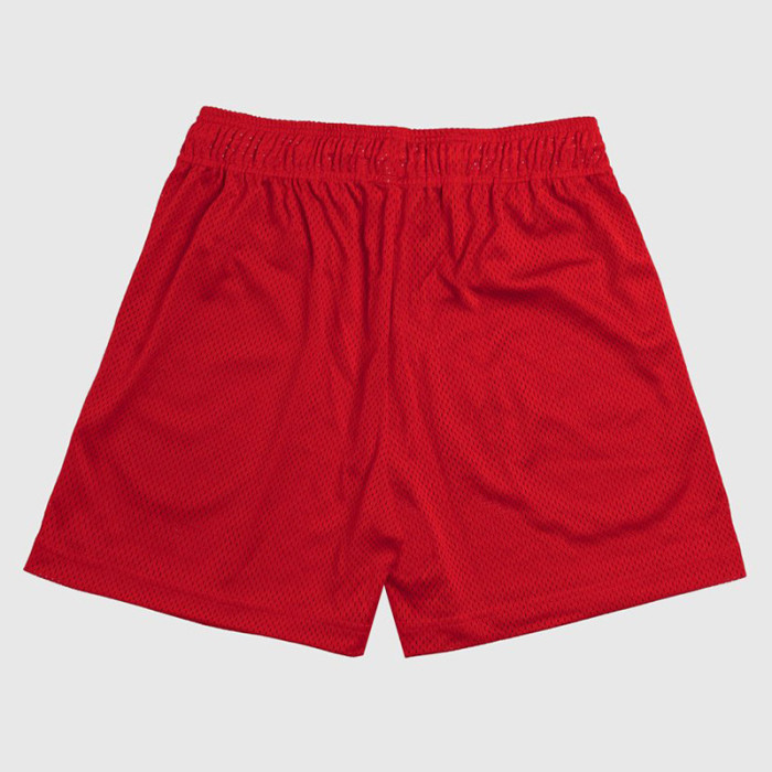 Philadelphia 76ers Digital Print Mesh Shorts 9 colors