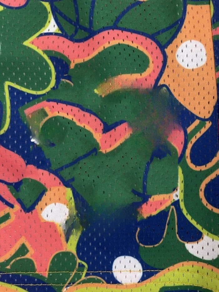 Color-blocking Floral Digital Print Mesh Shorts 6 colors