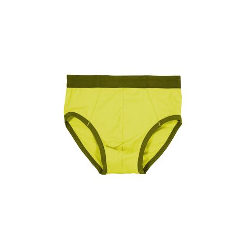 Snug Fit Briefs