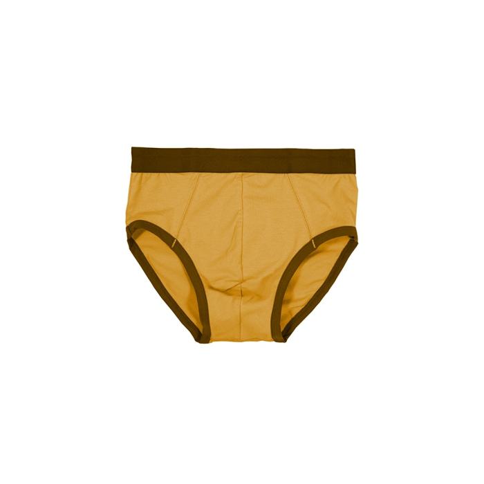Snug Fit Briefs