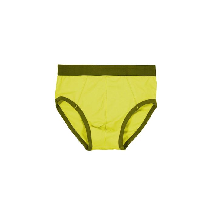 Snug Fit Briefs