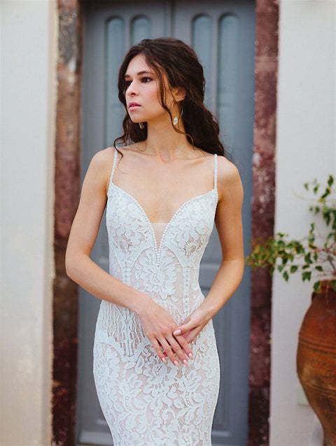 Paisley | Wilderly