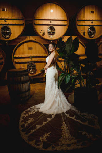 STELLA YORK Lace Fit and Flare Plunging Back Beaded Straps Size 12