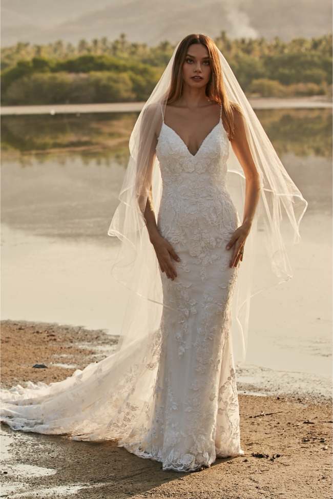 Tree | WToo Brides | WToo - Watters