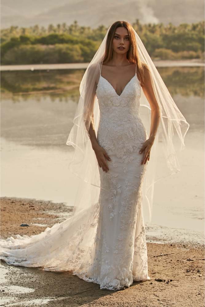 Tree | WToo Brides | WToo - Watters