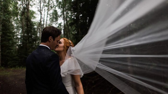 LILLIAN WEST Chiffon Fit + Flare Flutter Sleeves Keyhole Back Size 6