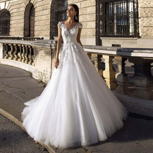 A-Line V-Neck Applique Backless Princess Bridal Gown WD1004