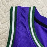 2022-23 BUCKS ANTETOKOUNMPO #34 Purple Top Quality Hot Pressing NBA Jersey (Retro Logo)